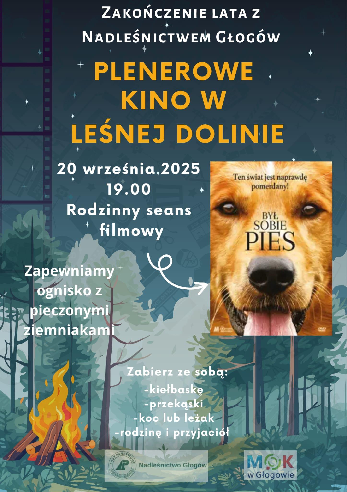 Grafika do artykułu: PLENEROWE KINO W LEŚNEJ DOLINIE